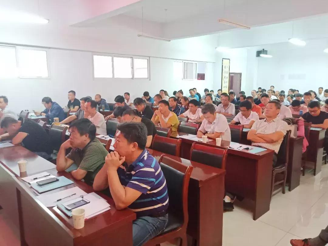 唐县最新资讯及其影响，深入分析与观点阐述