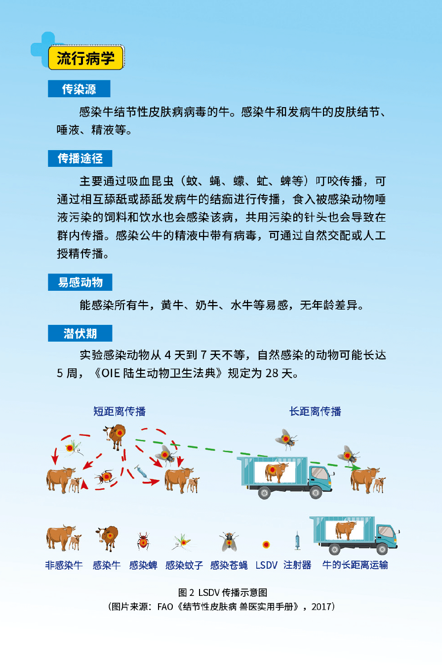 最新牛疫病，科普解读与应对之策