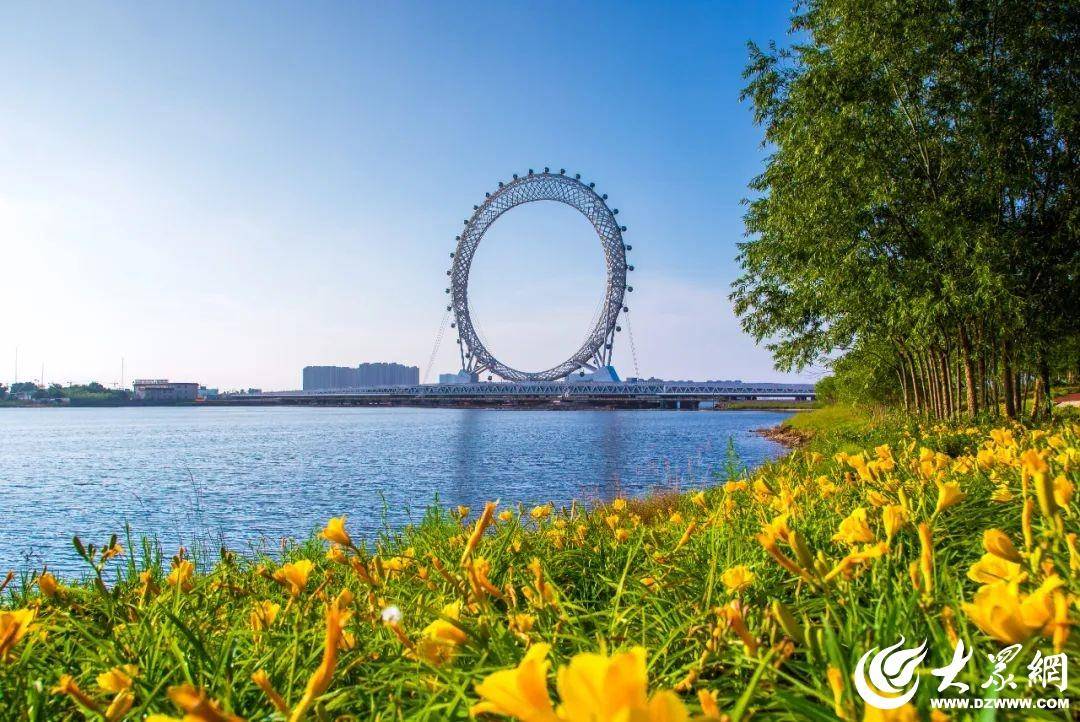 最新问政潍坊，一场自然美景的探索之旅