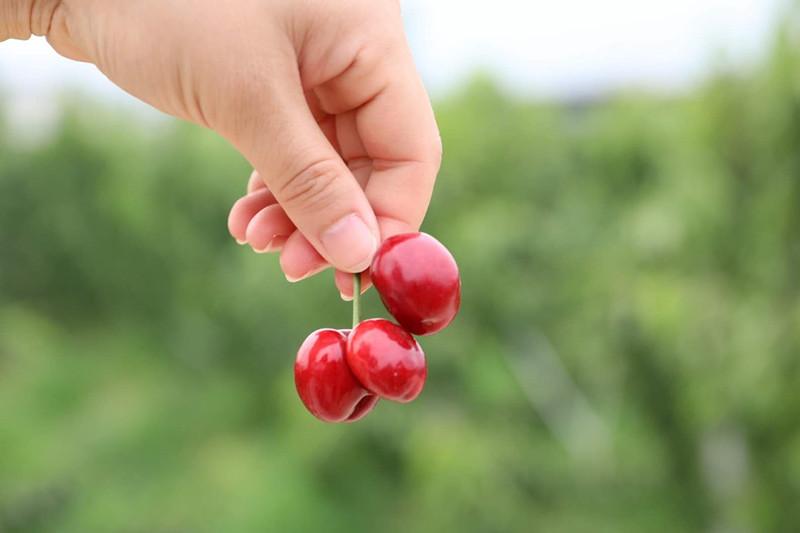 樱桃最新影视——小杰的影视之旅与友情之光