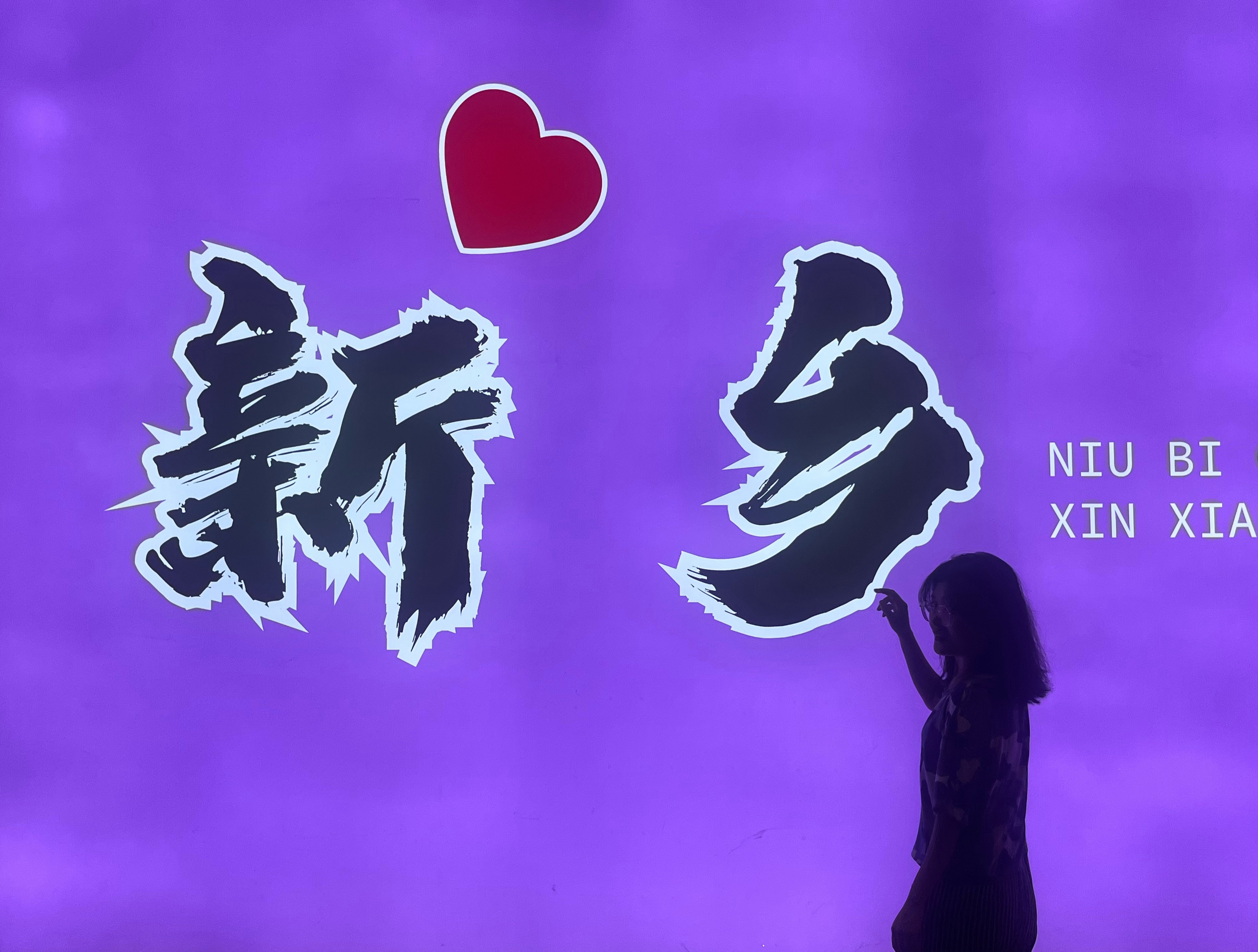 新乡最新确诊，小巷深处的独特风味