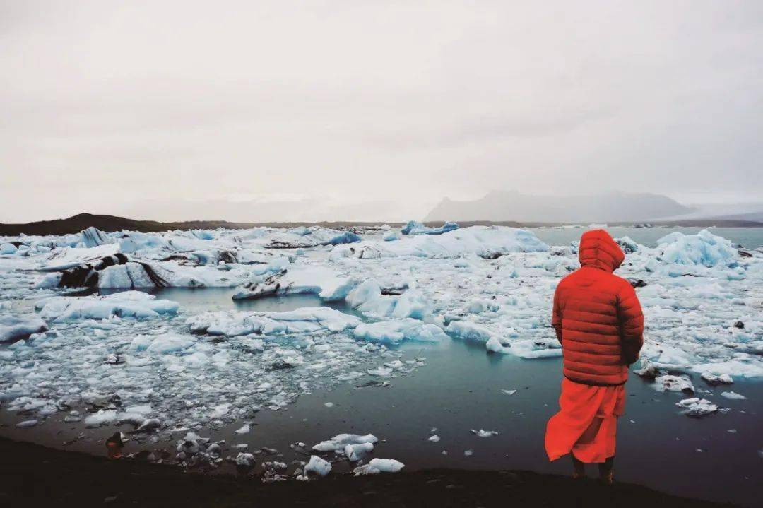 最新世鱼塘，一场与自然美景的邂逅，寻找内心平静的旅程