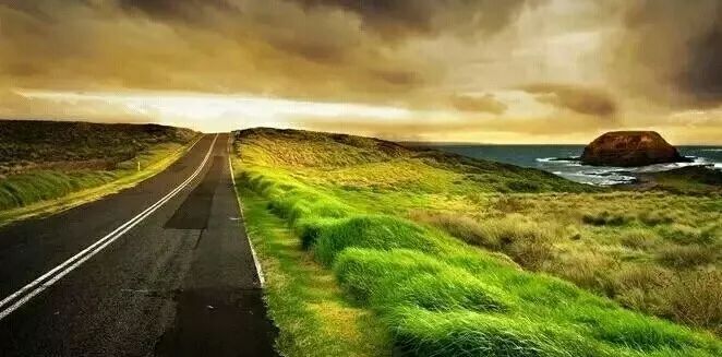 内容紧跟最新，一场自然美景的旅行，寻找内心的平和与宁静