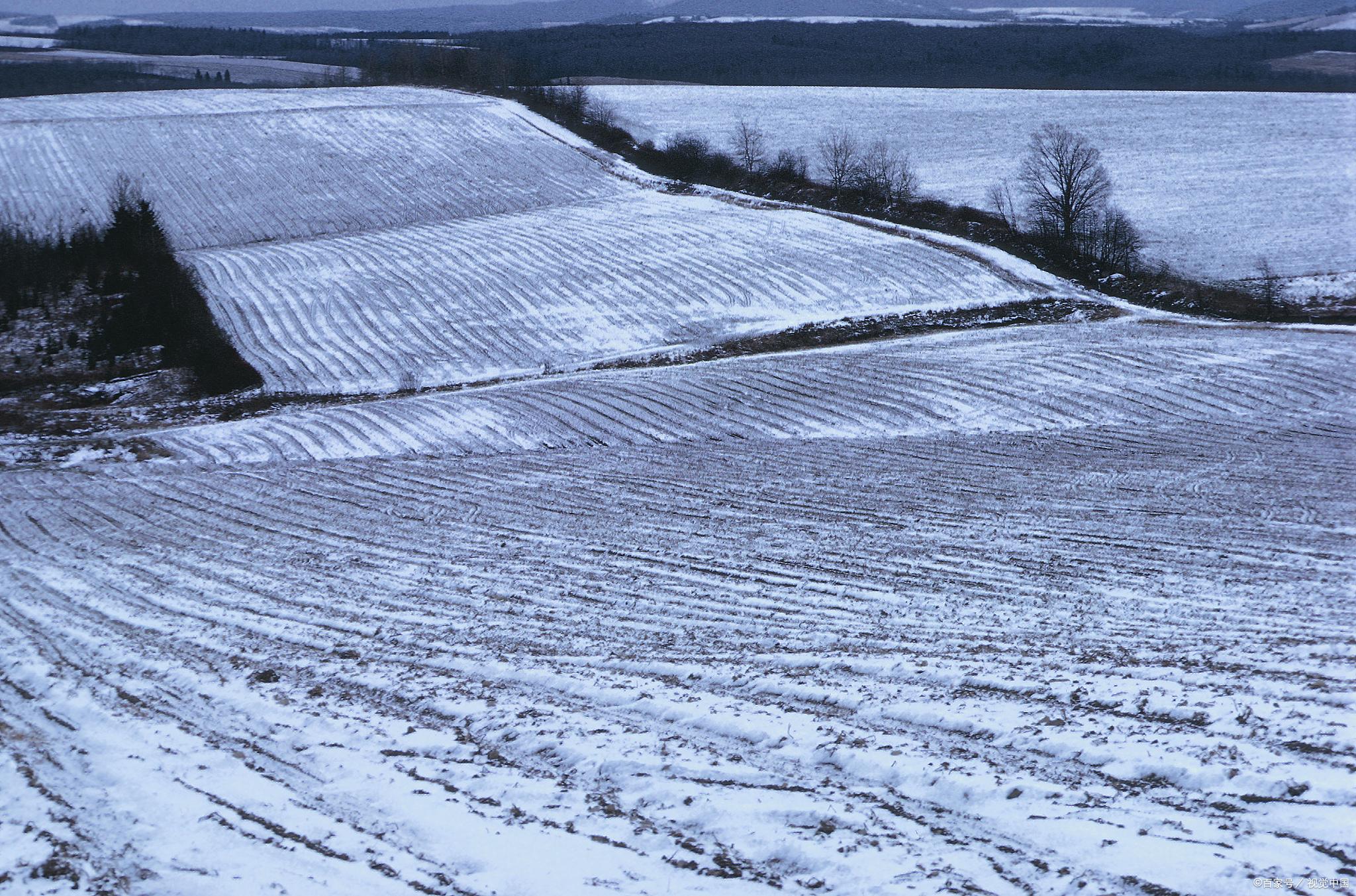 16省最新动态，时代的脉搏在跃动