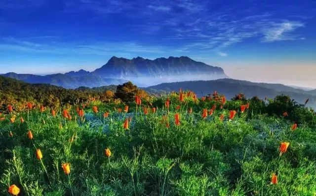 2025年6月 第62页