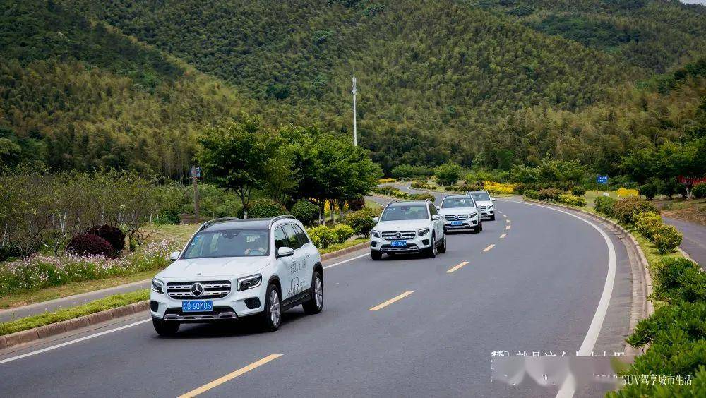 拖车费最新？别担心，来一场说走就走的自然之旅！