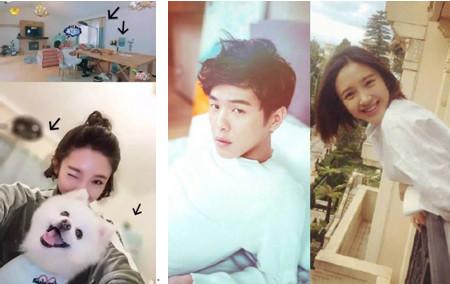 卓伟最新动态，聚焦娱乐报道的新焦点