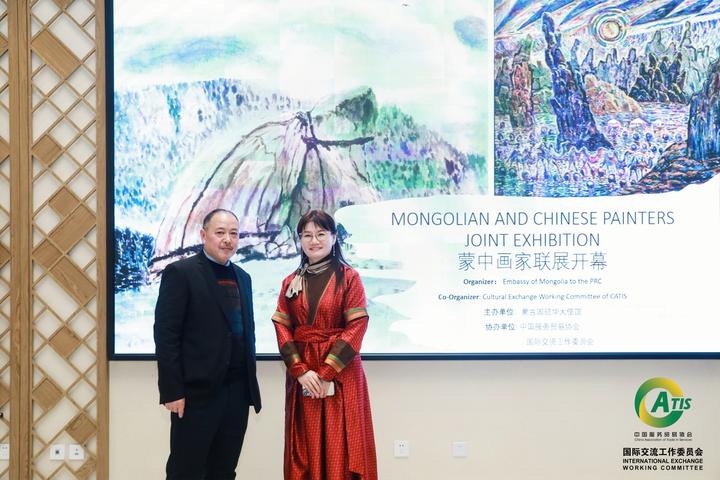 苏素的最新动态，一场文化与艺术的交融之旅