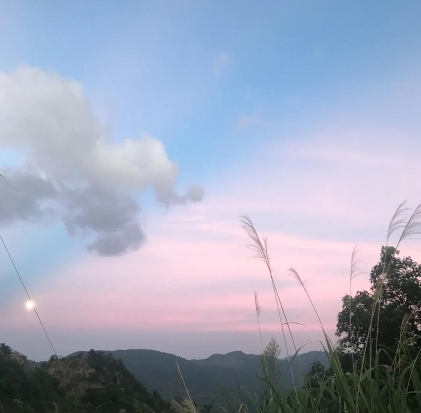 浙江最新新增，小巷深处的惊喜