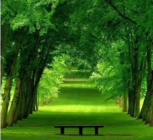 最新组合柜，一场自然美景的心灵之旅